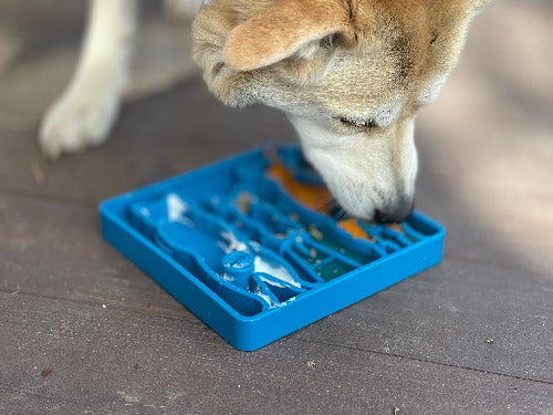 Waiting Dogs eTray - Shallow Slow Feeder Bowl for Enrichment | USA Made
