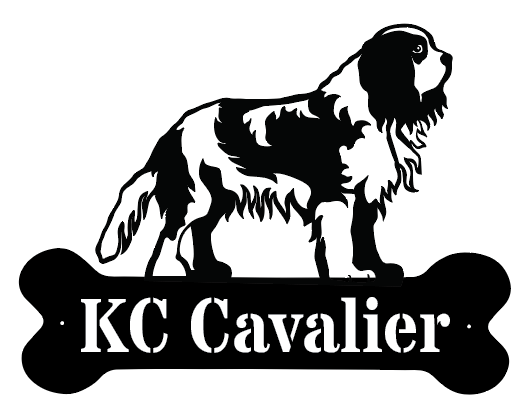 Dogbone Monogram Metal Sign for Pets